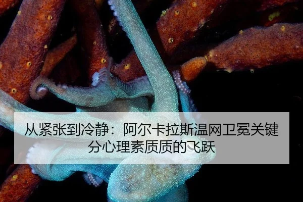 cong-jin-zhang-dao-leng-jing-a-er-ka-la-si-wen-wang-wei-mian-guan-jian-fen-xin-li-su-zhi-zhi-di-fei-yue-3-838.jpg
