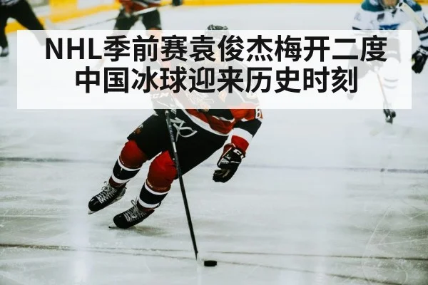 chinese ice hockey player